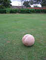 Single hemisphere